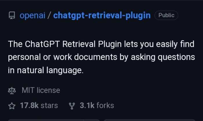 Retrieval ChatGPT Plugin