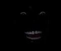Smile in the Dark ID for Roblox